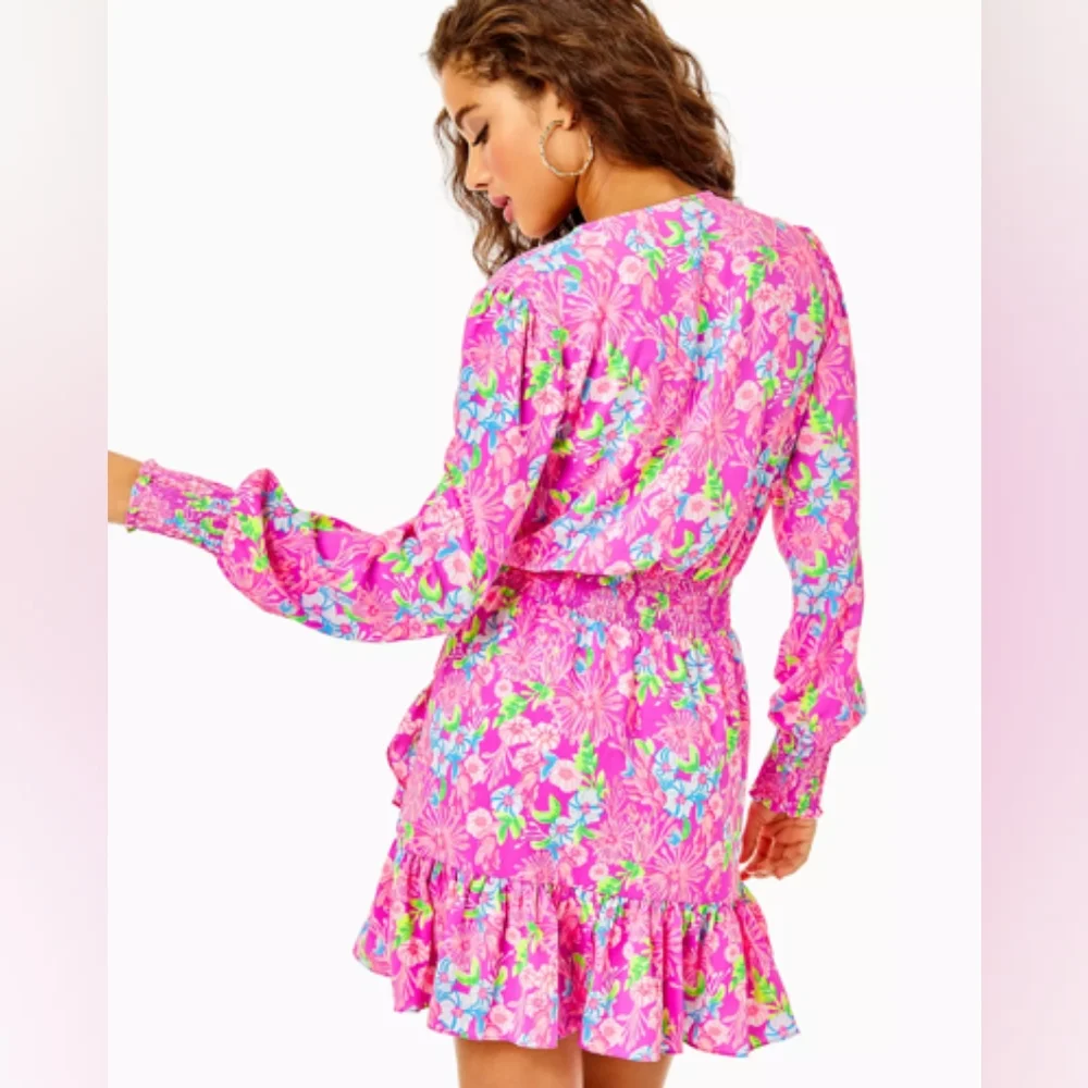 NWT Lilly Pulitzer Cristiana Stretch Dress - Picture 2 of 3